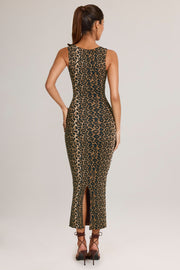 Oh Polly Ainslee 5617 robe midi léopard moulante modal